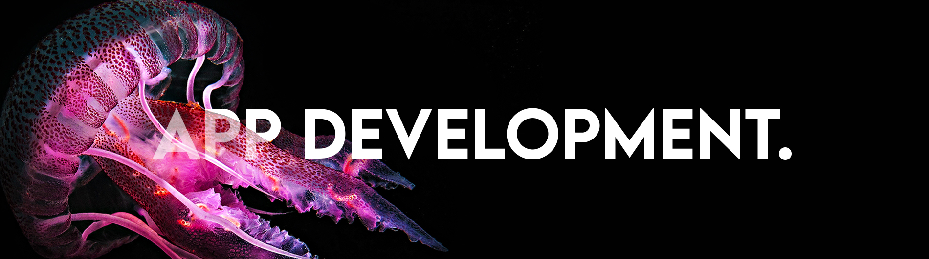 App Development jellyfish title image