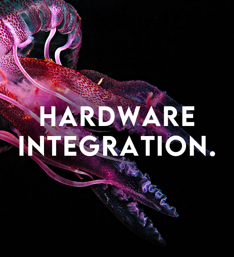 Hardware Development jellyfish title image