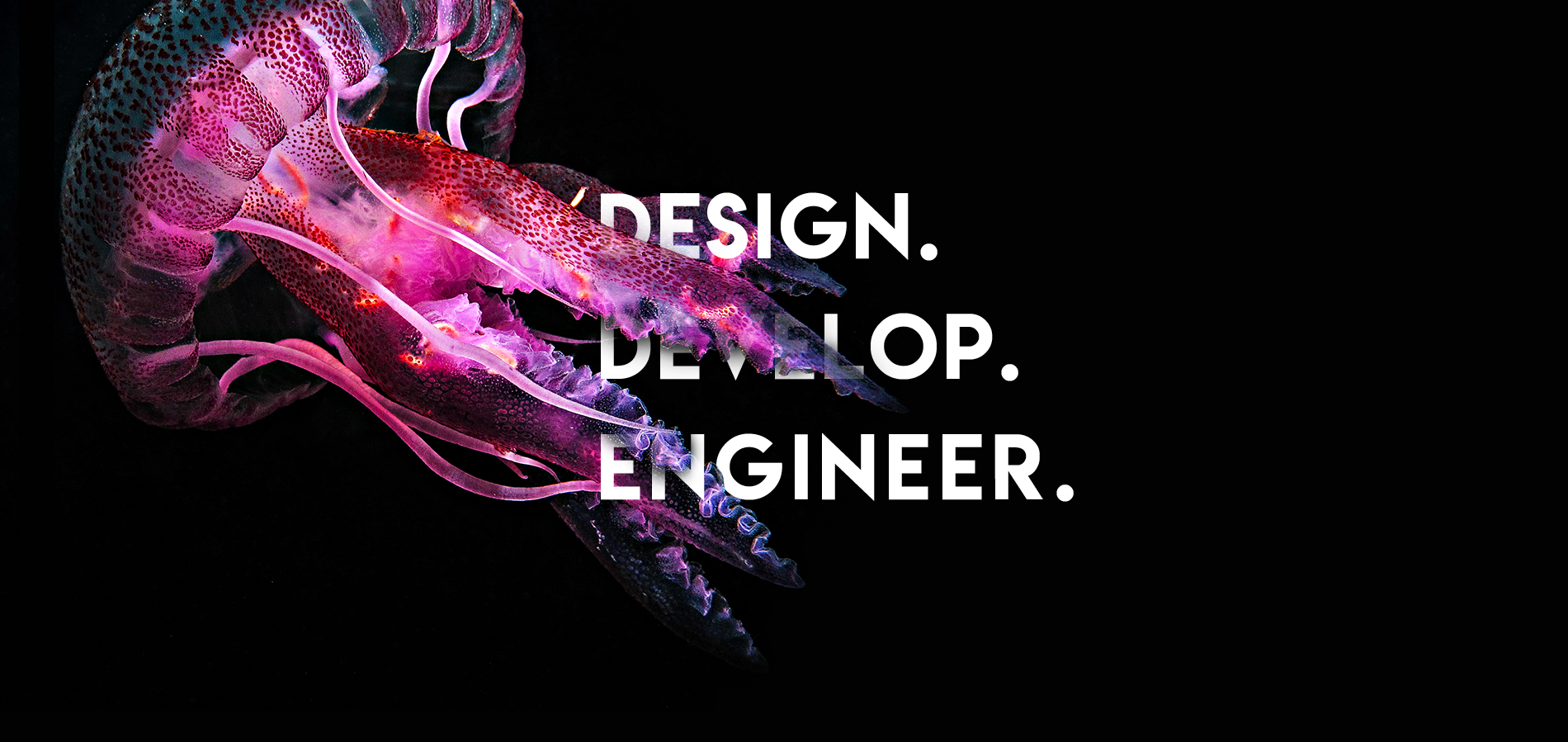 Jellyfish Image with slogan: Design, Develop, Engineer.
